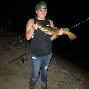 Meet your Posher, Cassie